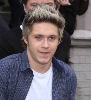 One Direction stars conjure up magic for Harry Potter fans at themepark