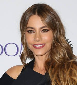 Sofia Vergara's lawyer blasts ex-fiance's 'uncredible' allegations