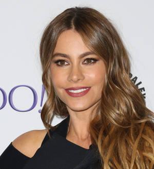 Sofia Vergara's lawyer blasts ex-fiance's 'uncredible' allegations
