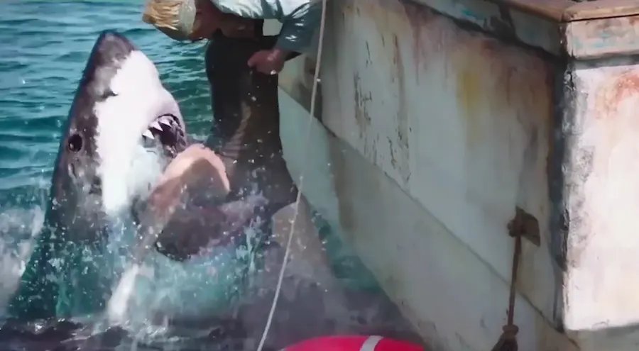 Just In Time For Summer, '47 Meters Down' Makes Us Rethink Going In The Water!