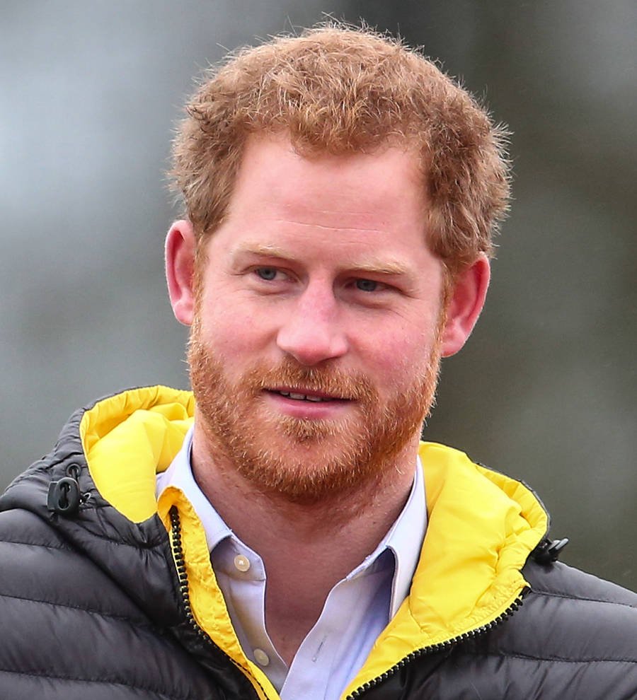 Prince Harry: 'Mum would want me to have kids'