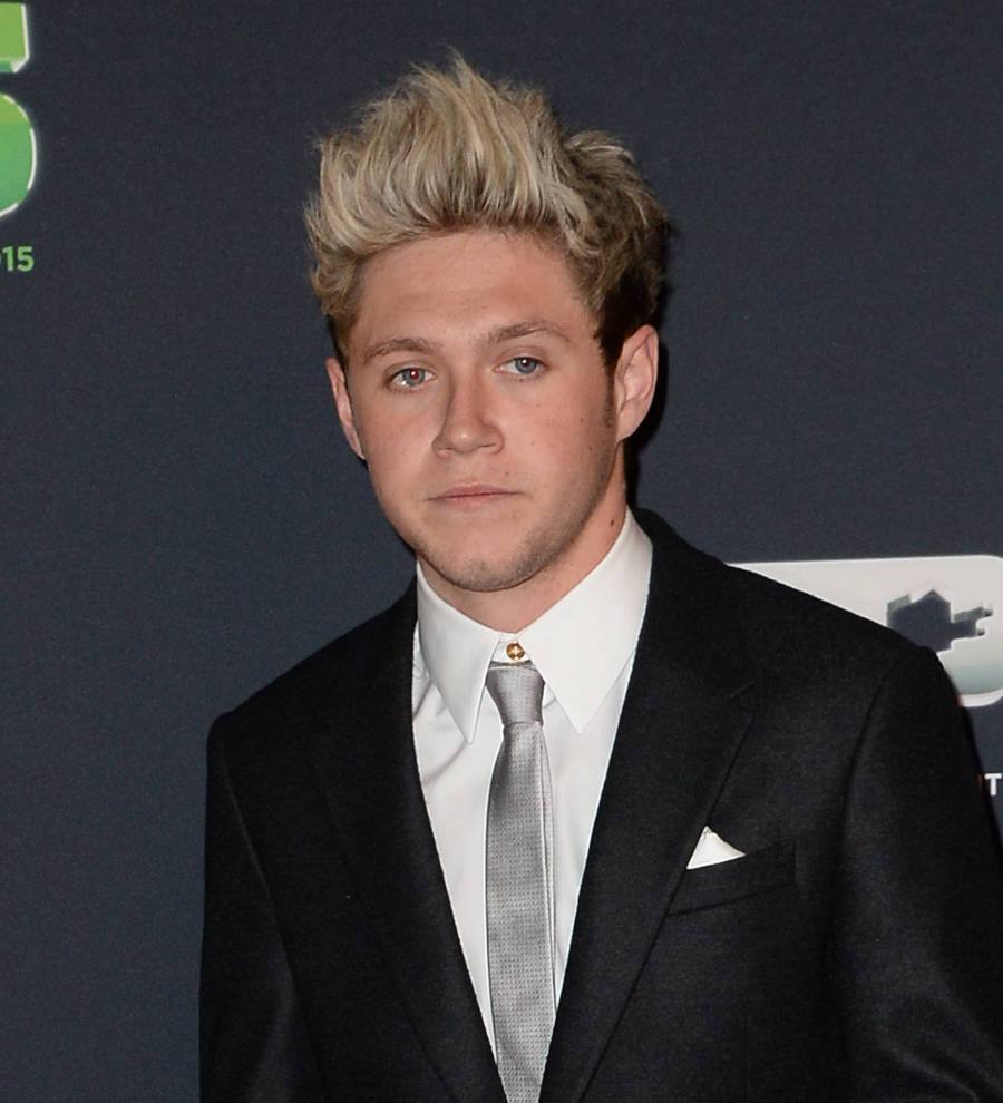 Niall Horan upset with mean Twitter fans