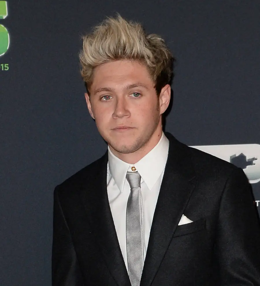 Niall Horan upset with mean Twitter fans