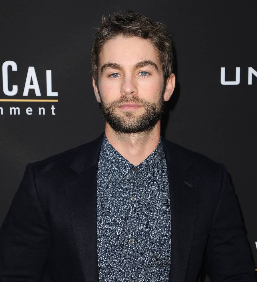 Chace Crawford's lost dog found by Twitter user