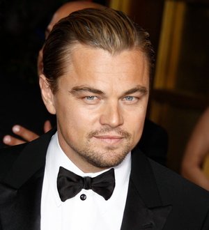 Leonardo DiCaprio reportedly splits from Erin Heatherton