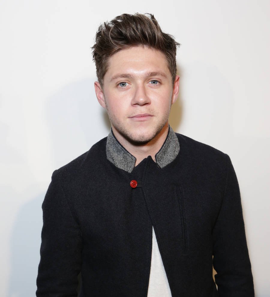 Niall Horan surprised by his Wilhelmina Models contract