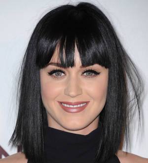 Katy Perry's 'left shark' inspires fundraising campaign
