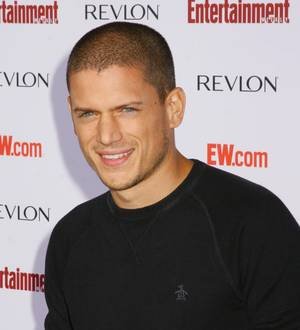 Wentworth Miller opens up about being gay