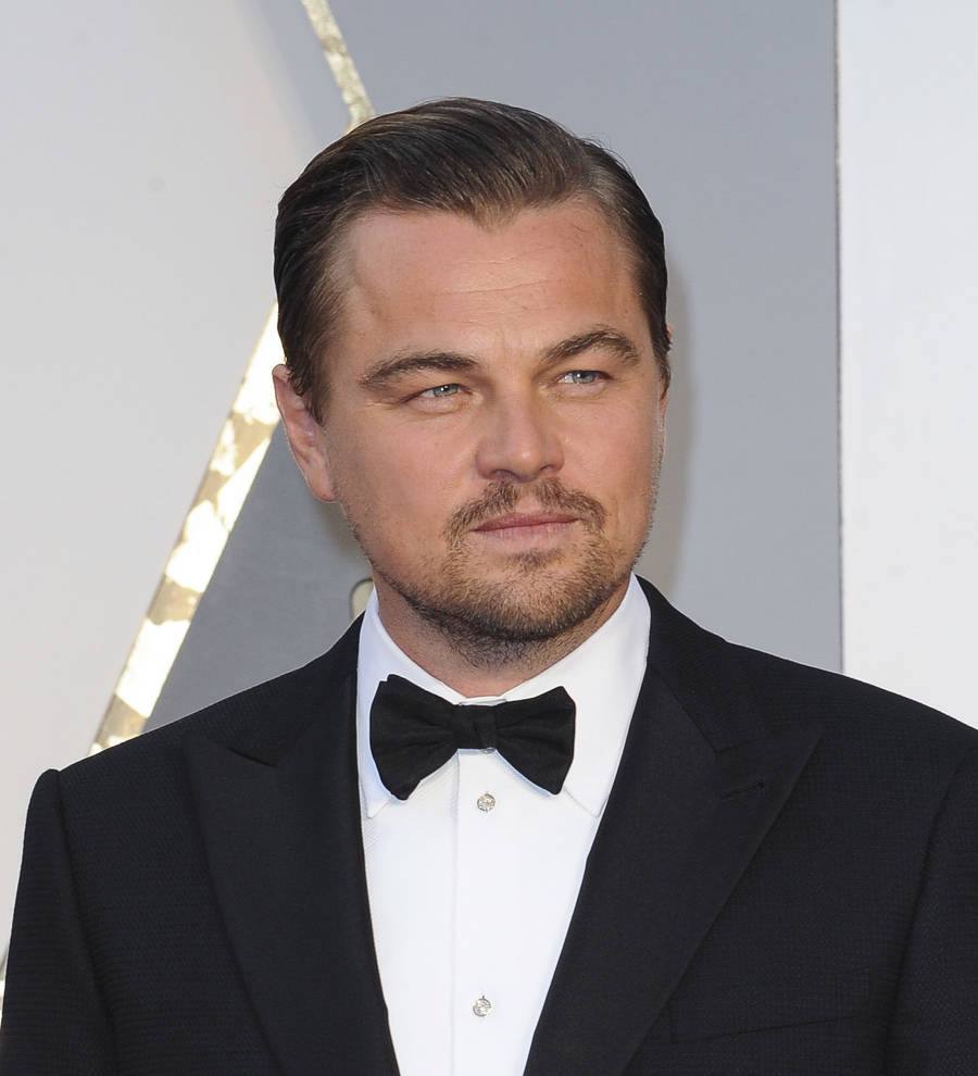 Leonardo DiCaprio threatened with deportation from Indonesia