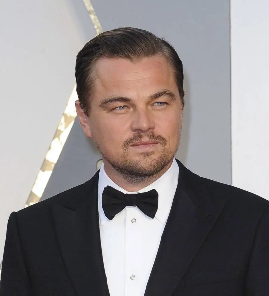 Leonardo DiCaprio 'to produce seafaring action thriller' for Netflix