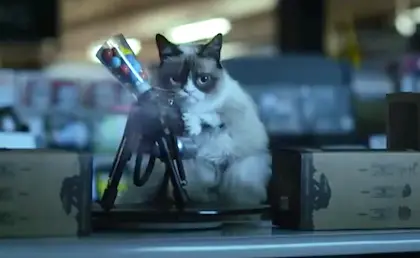 Have the Best 'Worst Christmas Ever' with Grumpy Cat!