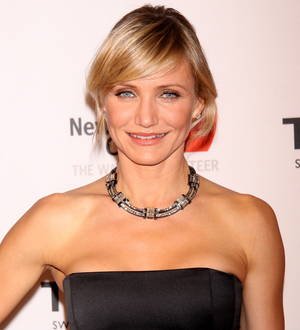 Cameron Diaz in talks to make Sex Tape with Jason Segel