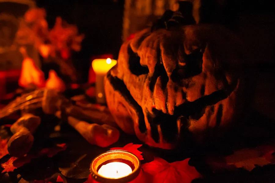4 Spooky New Books To Read This Fall!
