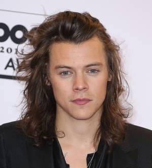 Harry Styles baffled by sheep placenta facial rumors