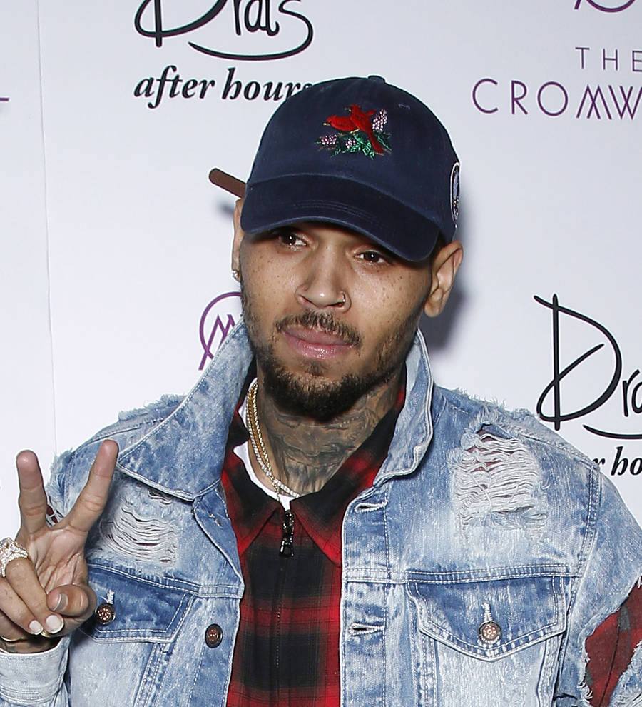 Chris Brown's baby mother obtains protective order