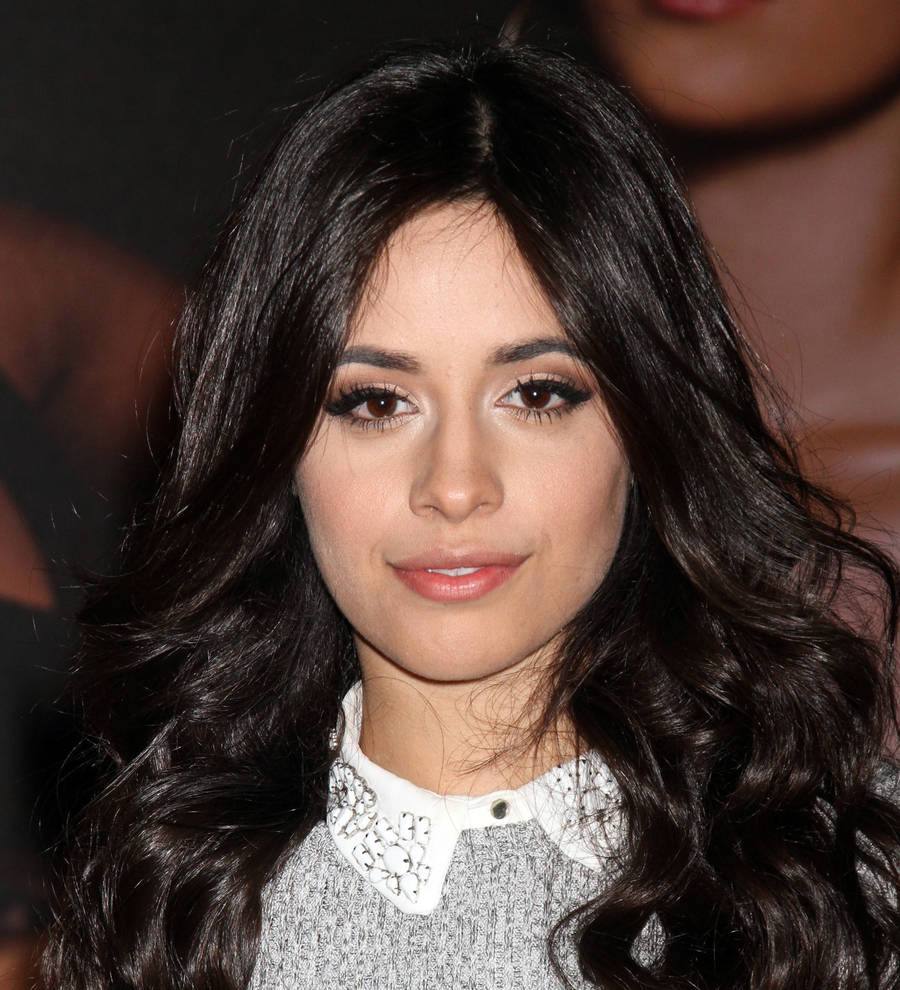 Singers Shawn Mendes and Camila Cabello dating - report