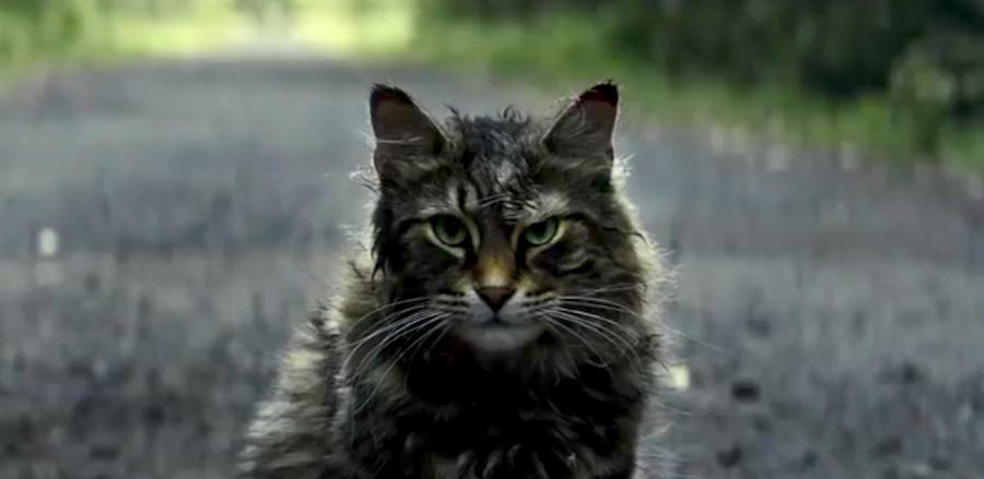 ICYMI: Creepy First Trailer For 'Pet Sematary' Reboot Drops!