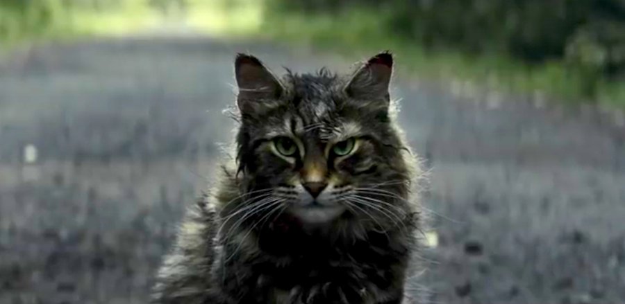 ICYMI: Creepy First Trailer For 'Pet Sematary' Reboot Drops!