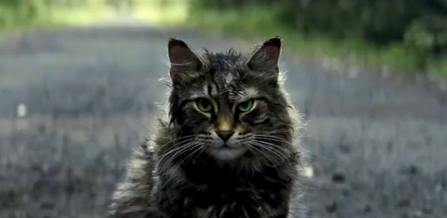 ICYMI: Creepy First Trailer For 'Pet Sematary' Reboot Drops!