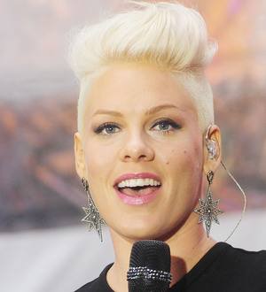 Pink postpones pregnancy for tour