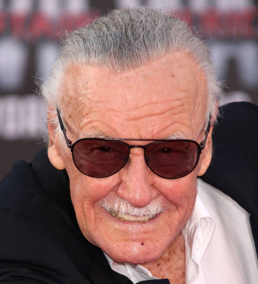 Stan Lee praises new Spider-Man Tom Holland