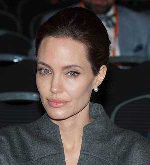 Angelina Jolie 'open' to career in politics