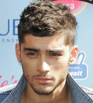 Zayn Malik's puppy caused chaos on One Direction tour