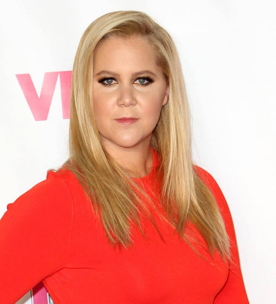 Amy Schumer can't handle being in love