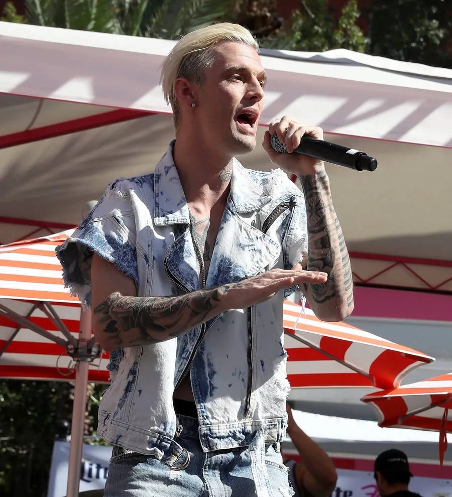 Aaron Carter: 'I knew I was bisexual aged 12'