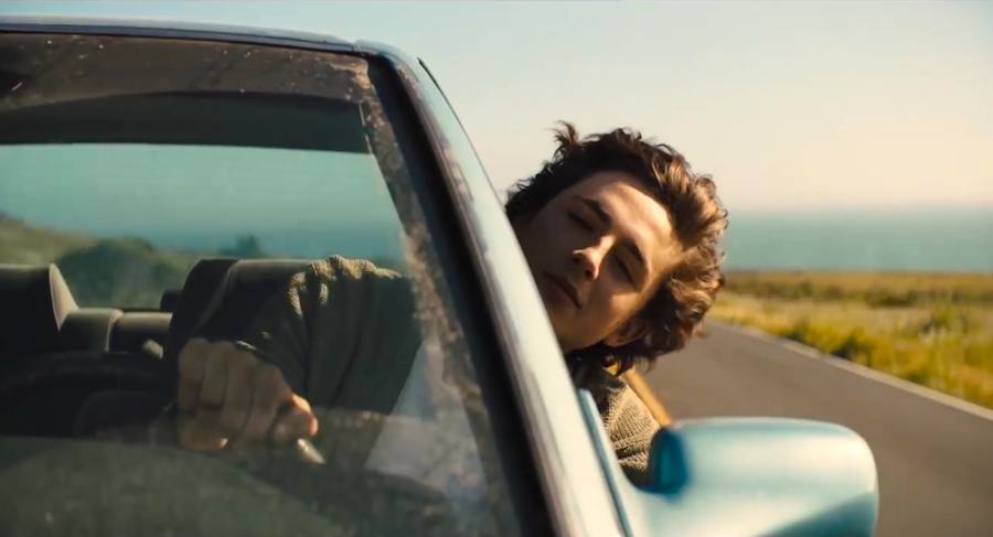 Timothée Chalamet & Steve Carell Shine In 'Beautiful Boy'!