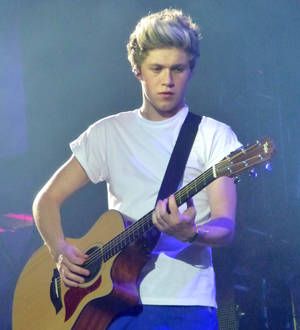 One Direction stars beg fan to stay at gig