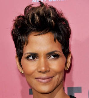 Halle Berry pregnant again