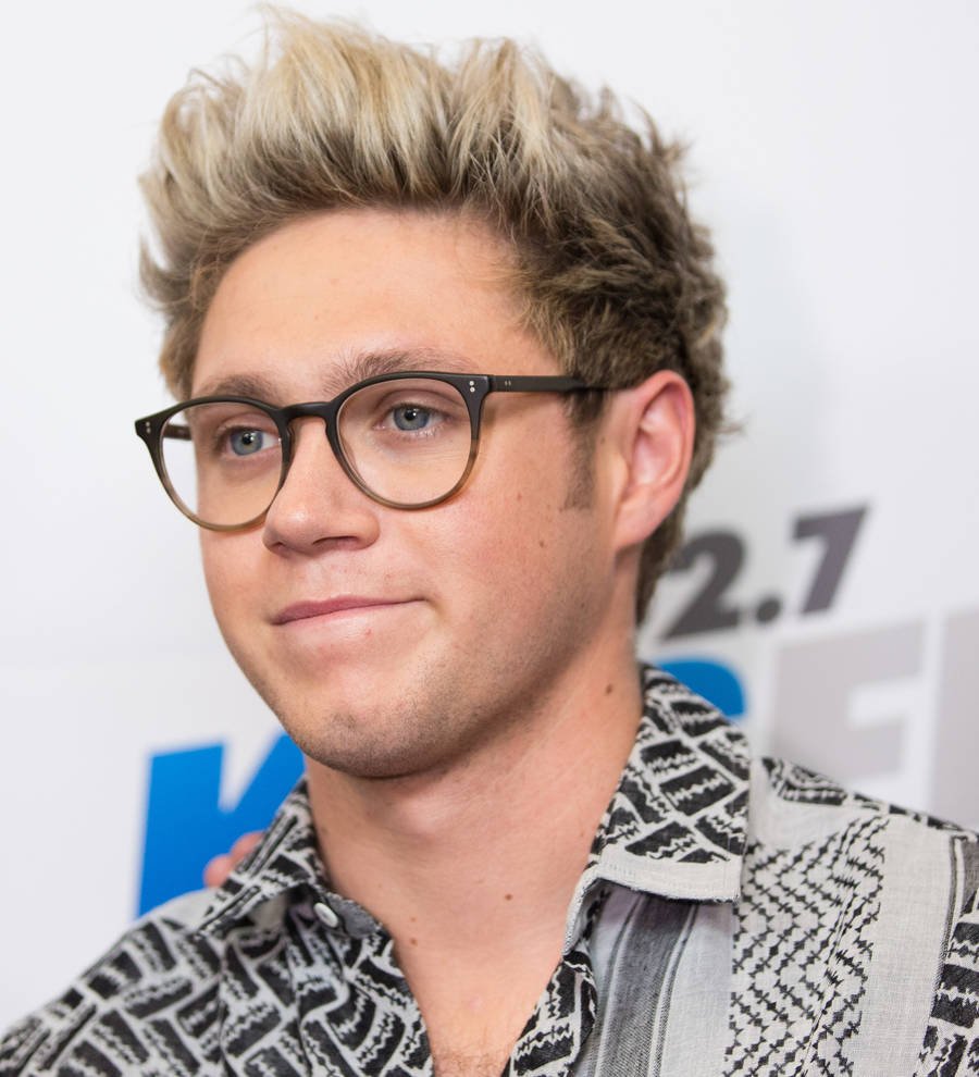 Niall Horan wins round of libel case