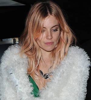 Sienna Miller admits 'brief encounter' with Daniel Craig