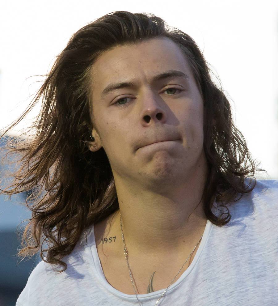 Harry Styles hit with bottle during concert