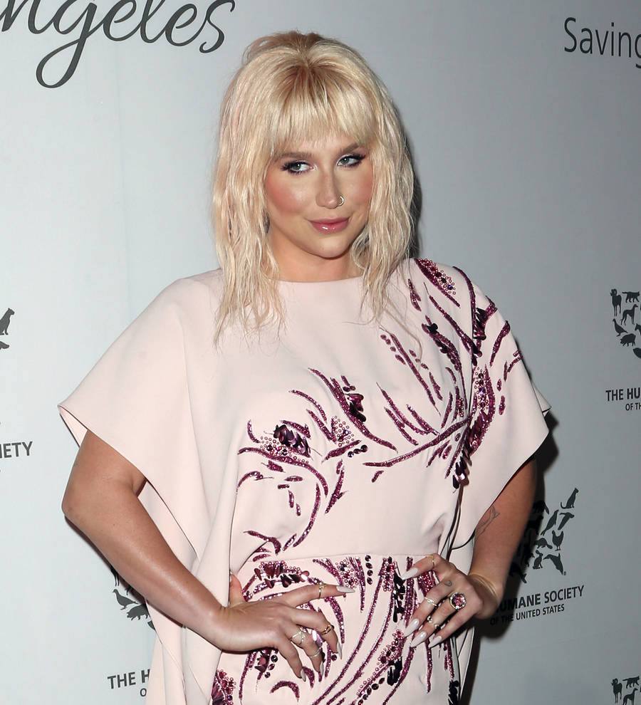 Kesha celebrates the return of stolen custom jacket