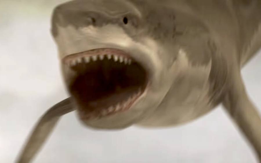 9 Shark Movies You Should Watch During Shark Week (That Aren't 'Jaws')!
