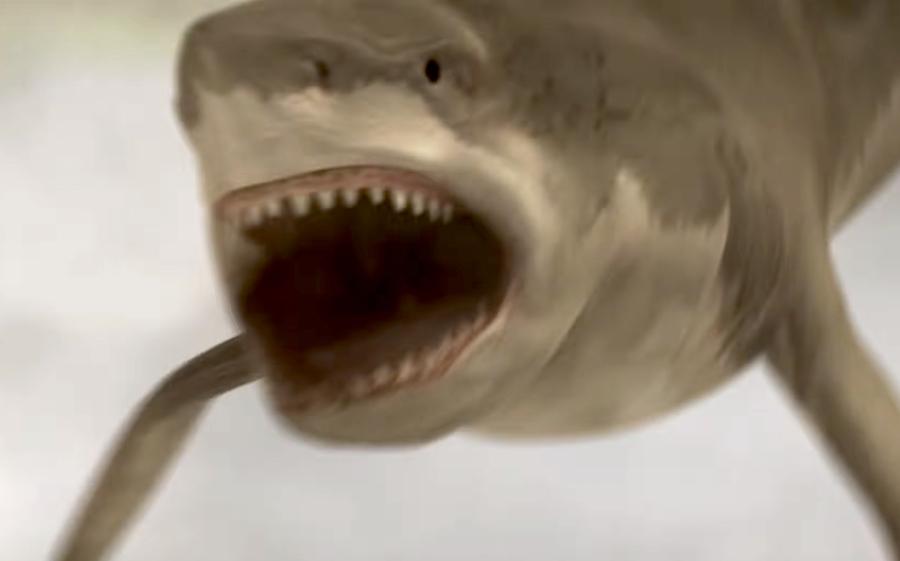 9 Shark Movies You Should Watch During Shark Week (That Aren't 'Jaws')!