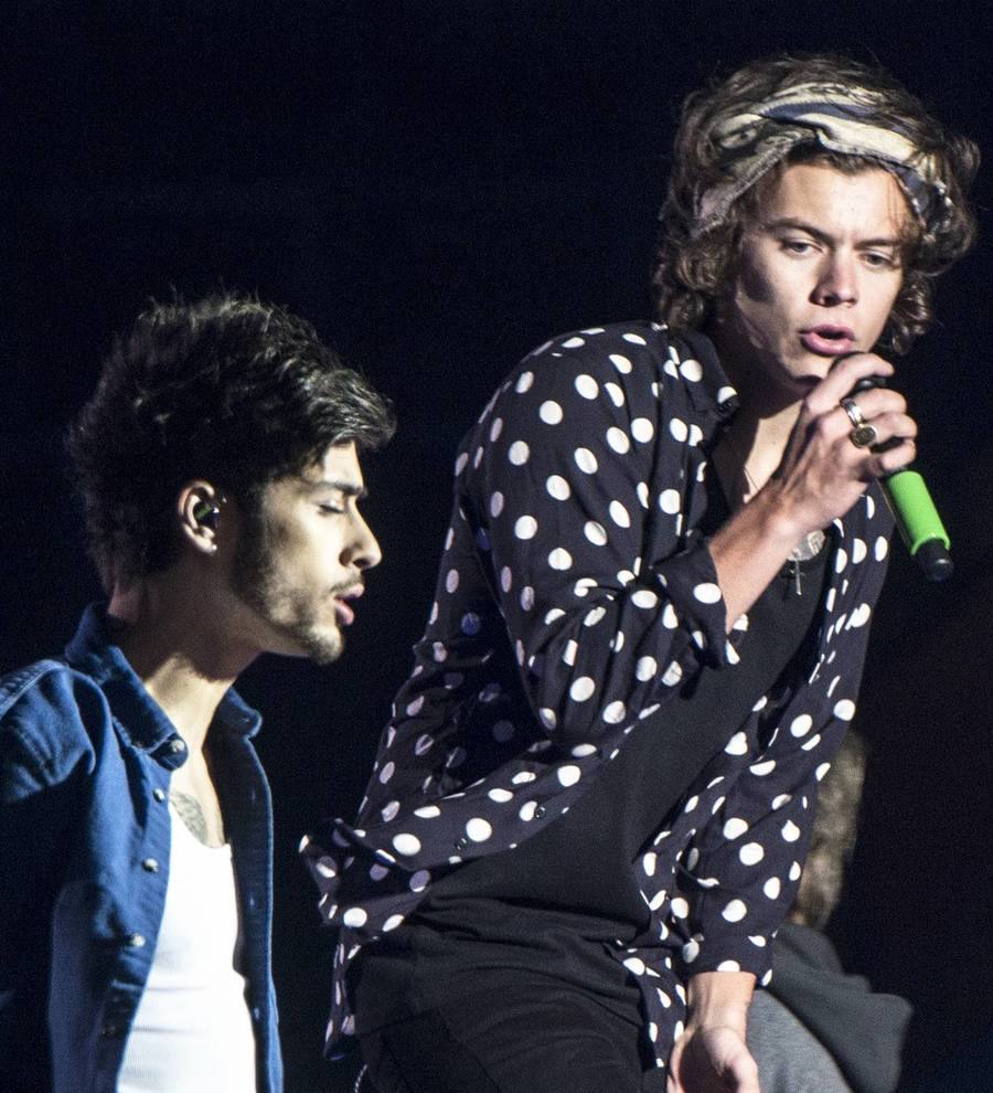 Harry Styles: 'It's a shame Zayn dislikes One Direction's music'