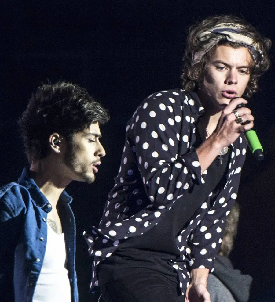 Harry Styles: 'It's a shame Zayn dislikes One Direction's music'