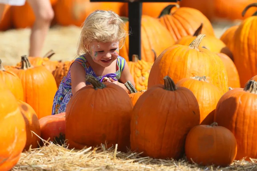 The 3 Best Pumpkin Patches In America!