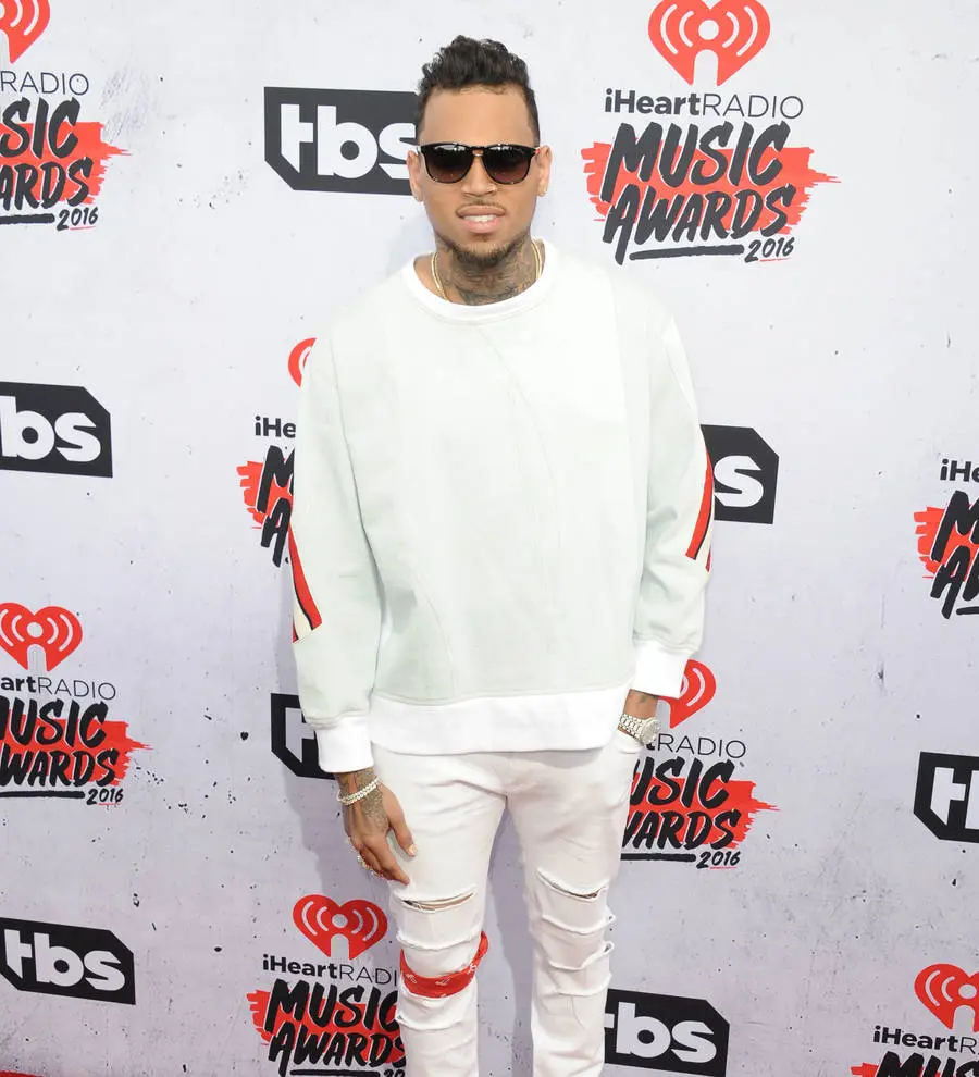 Chris Brown promises 'the world will see' after arrest