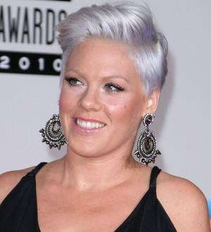 Pink battles insecurities before recording new music
