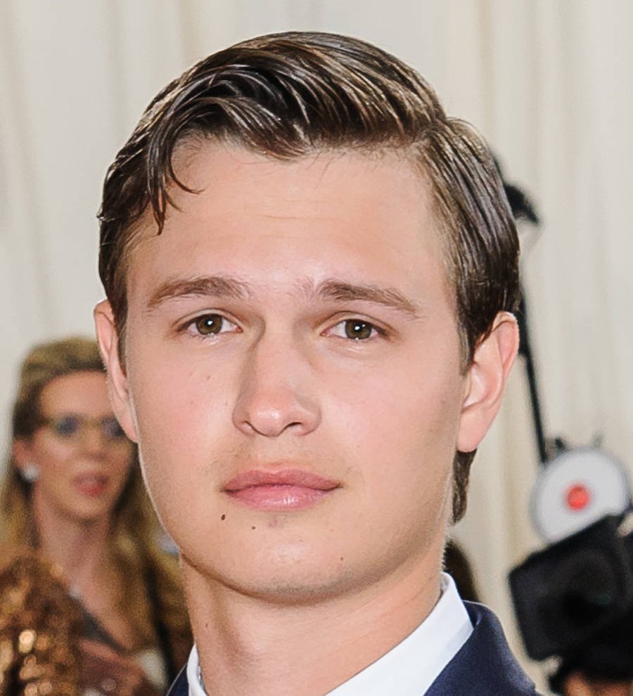 Ansel Elgort taking on twin roles in new movie