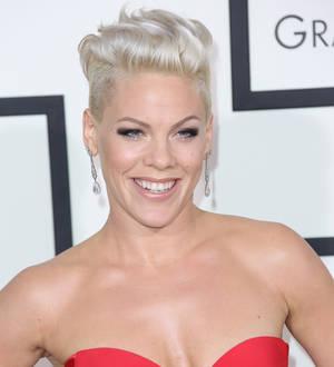 Pink praises New York Mayor over horse-drawn carriage move