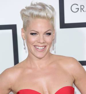 Pink praises New York Mayor over horse-drawn carriage move