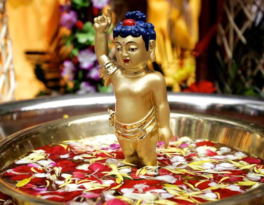 A Beginner's Guide to Buddhism!
