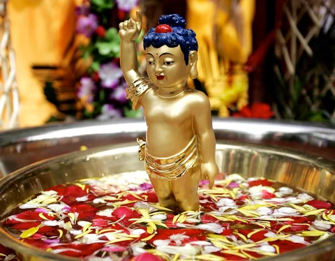 A Beginner's Guide to Buddhism!