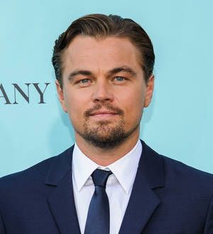 Leonardo DiCaprio oversees auction to fund green campaigns