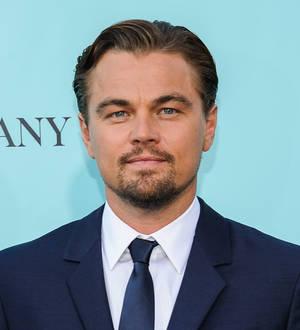 Leonardo DiCaprio oversees auction to fund green campaigns